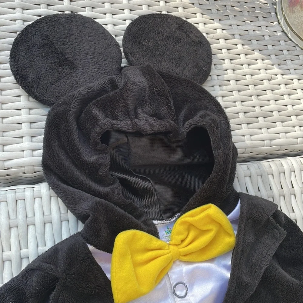 Disney mickey mouse